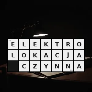 Rozwiązanie krzyżówki: wytwarzanie pola elektrycznego detekcja zmian wywołanych przez to pole i wykorzystanie ich do orientacji w otoczeniu - elektrolokacja czynna | hasła, synonimy i podpowiedzi Hasło krzyżówkowe wytwarzanie pola elektrycznego detekcja zmian wywołanych przez to pole i wykorzystanie ich do orientacji w otoczeniu - elektrolokacja czynna – rozwiązanie, synonimy, podpowiedzi i definicje krzyżówkowe